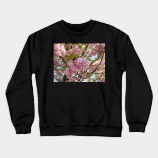 Pink cherry blossoms in spring with selective focus Crewneck Sweatshirt